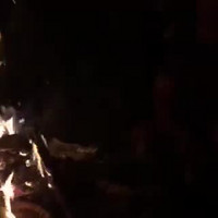 video-1530860764.mp4